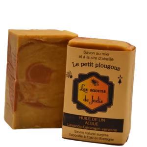 Le petit Plougous